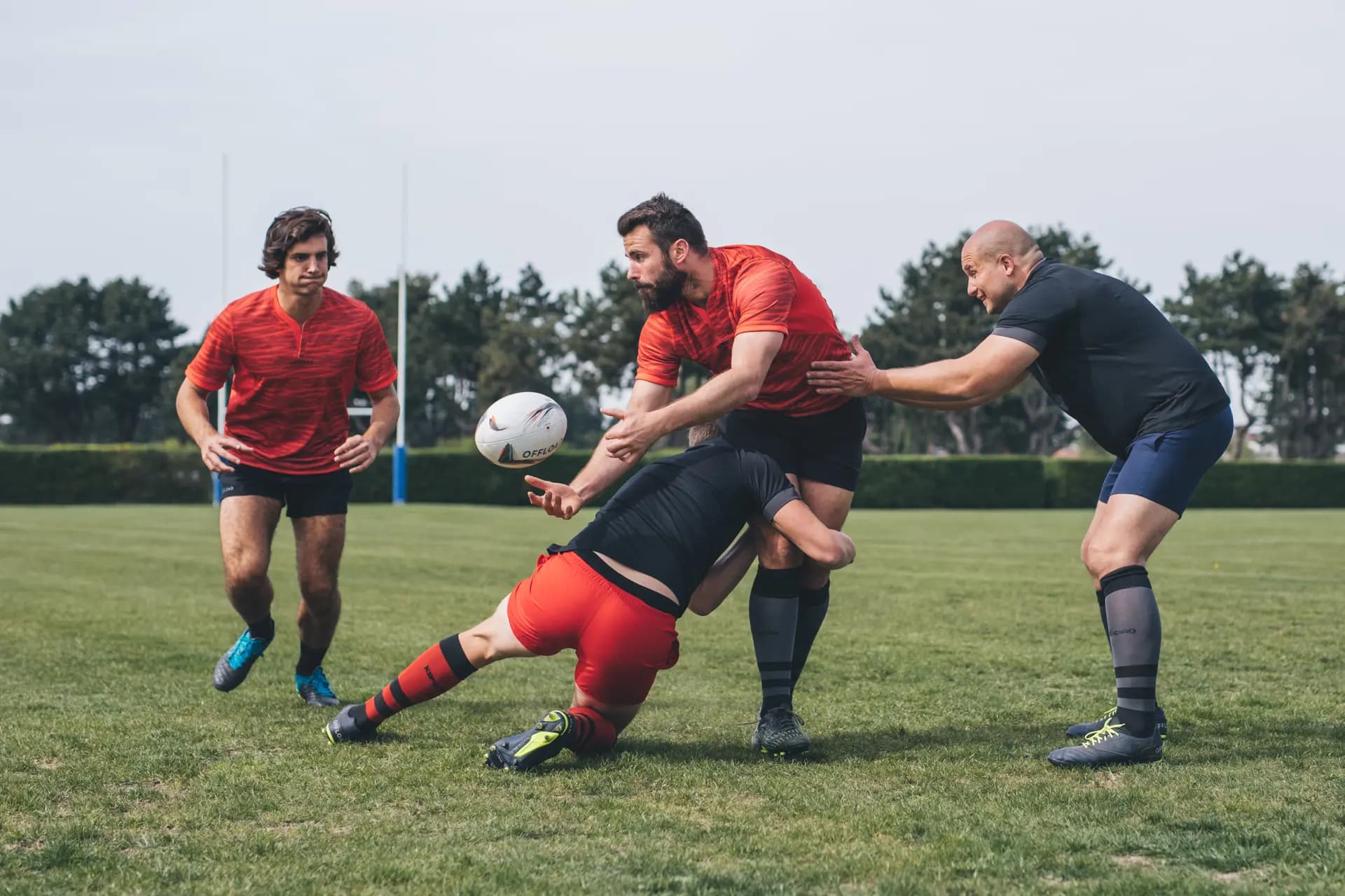 Rugbi - banner